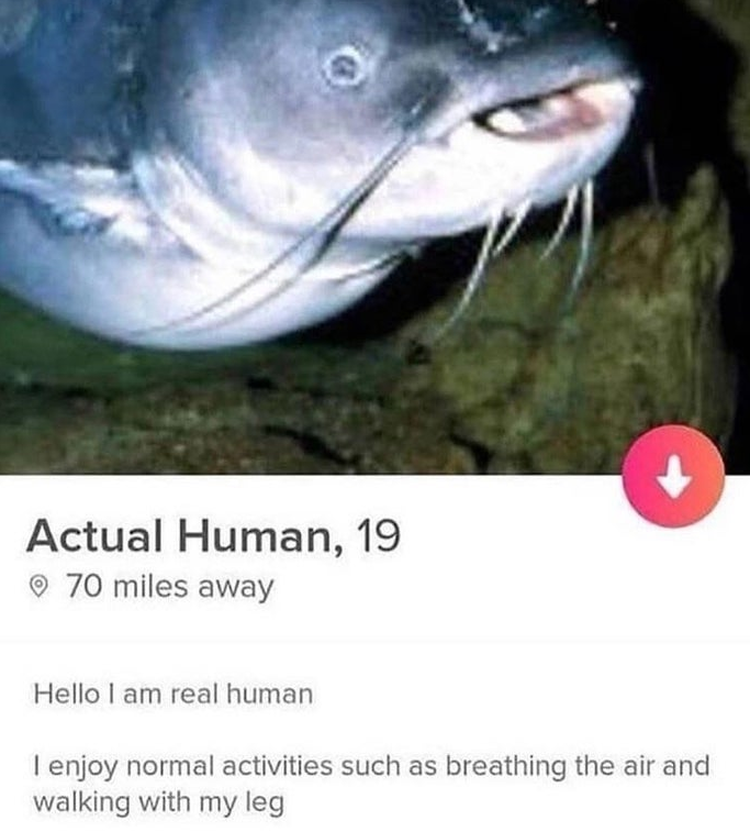 A catfishing profile on Tinder.