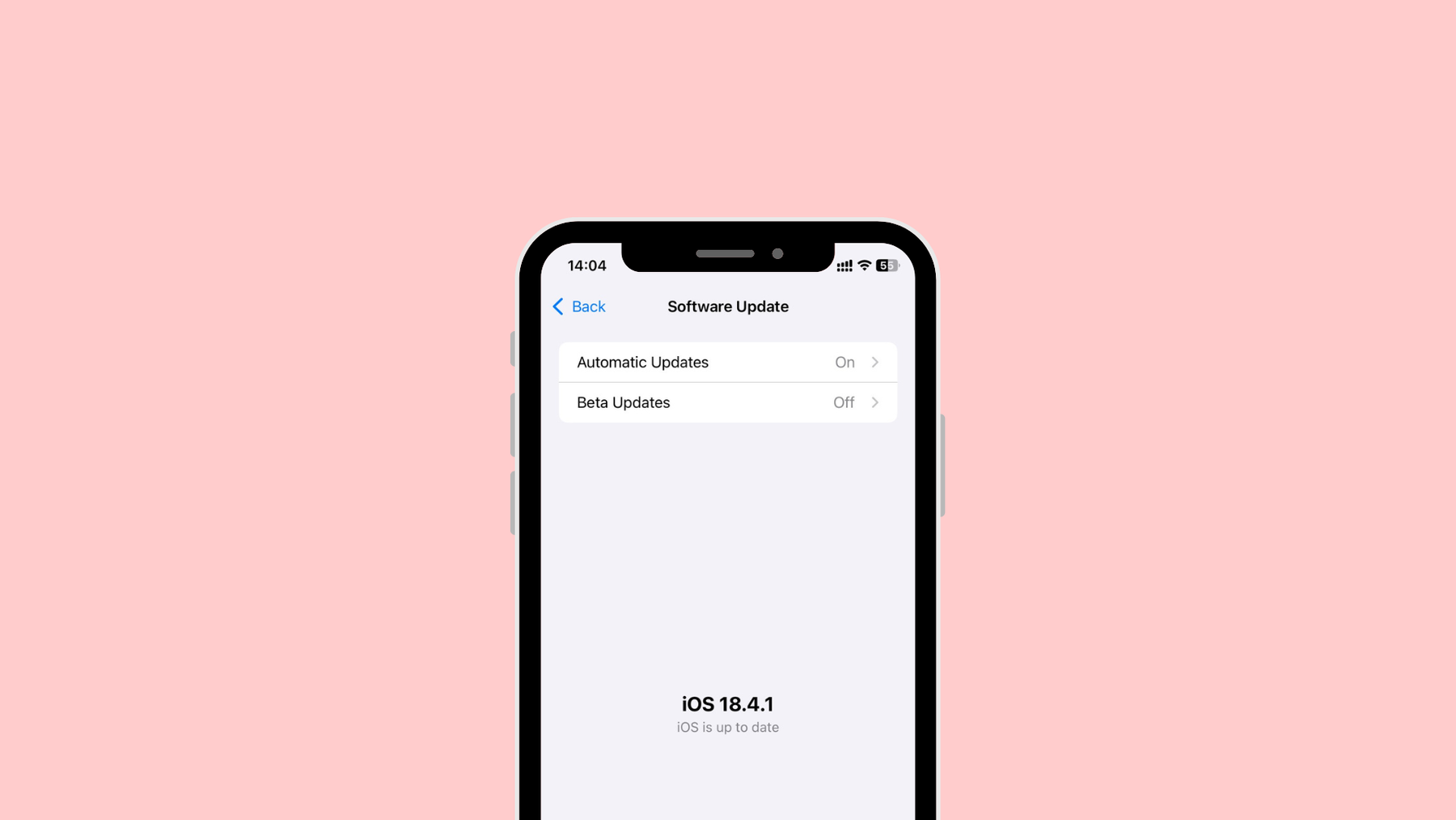 Screenshot einer iOS-Softwareaktualisierung