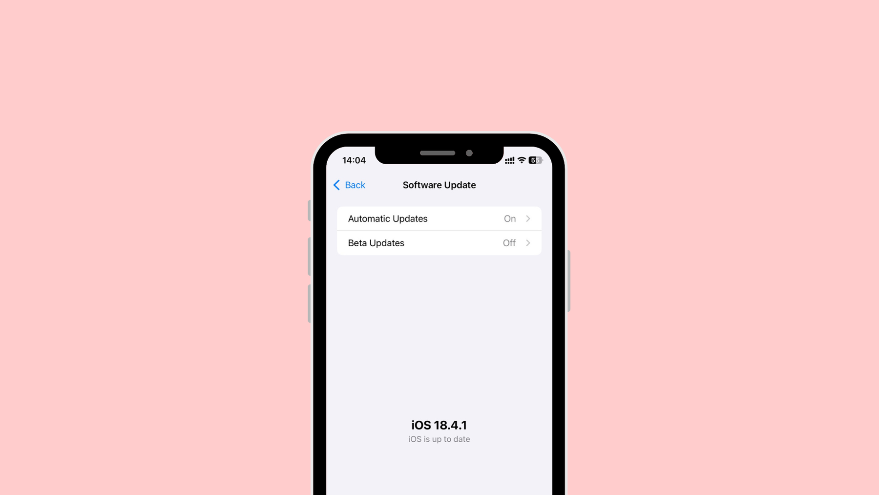 Screenshot of an iOS software update
