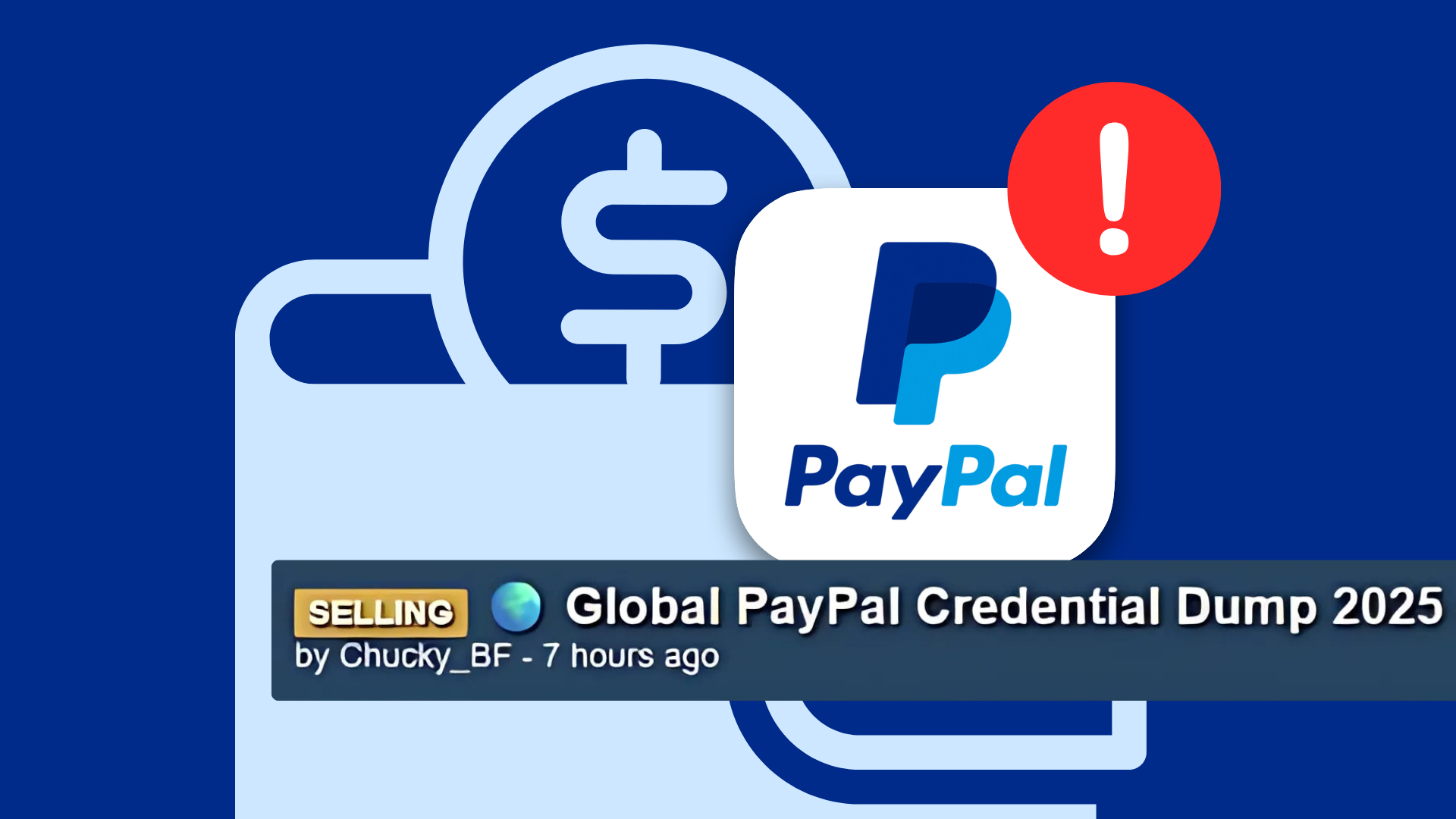 Paypal 詐欺 (99) 사진