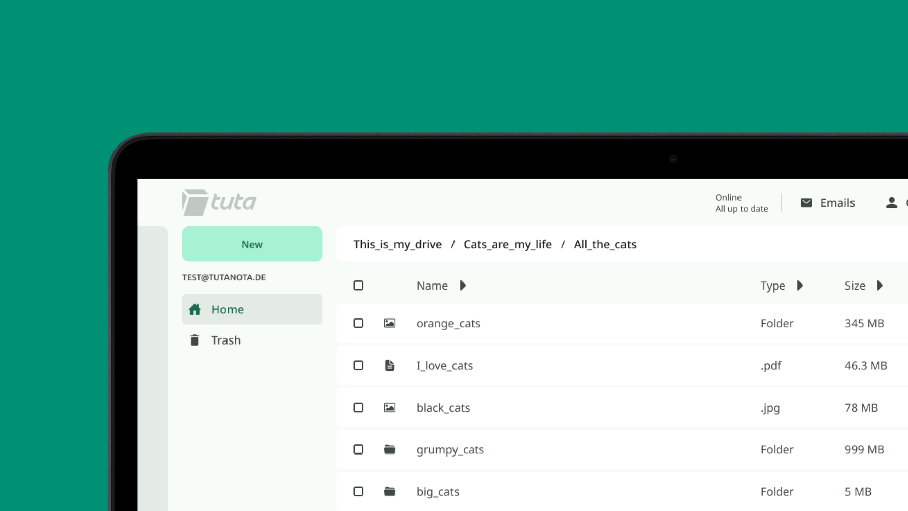 Screenshot of the Tuta Drive