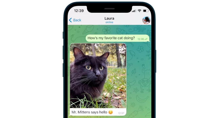 Telegram - another alternative to WhatsApp.