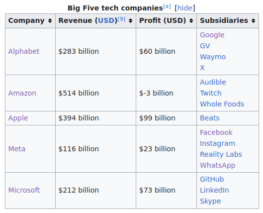 Top 5 Big Tech Companies